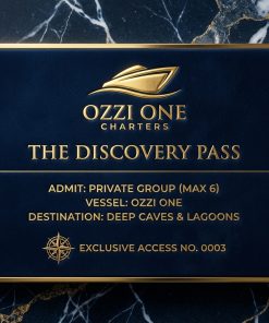 The Deep Exploration Voyage: The Discovery Pass | Down Payment